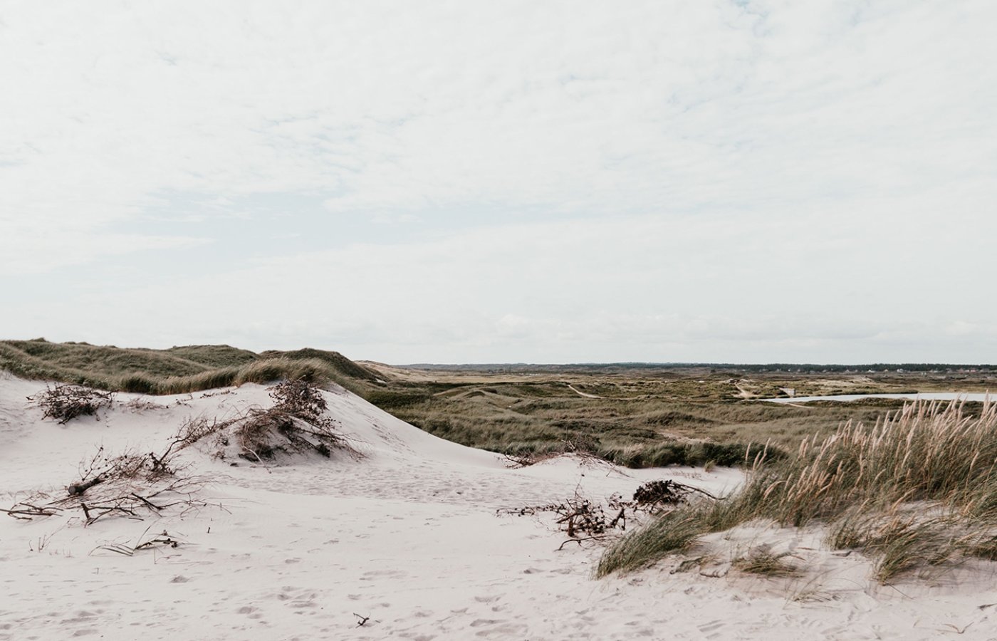 Scan danish beach
