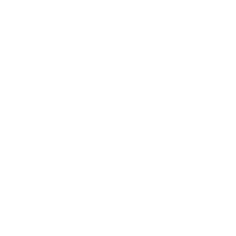 A white flame icon